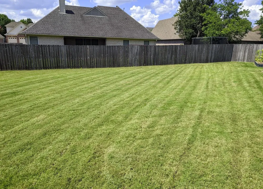 Professional yard cleanup service for homes across Cordova, TN - Ty's Lawn Care