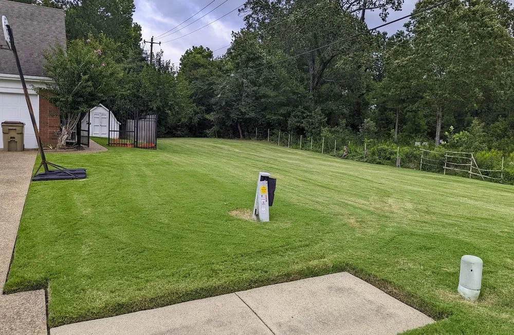 Professional landscape installation for year-round maintenance across Cordova, TN - Ty's Lawn Care