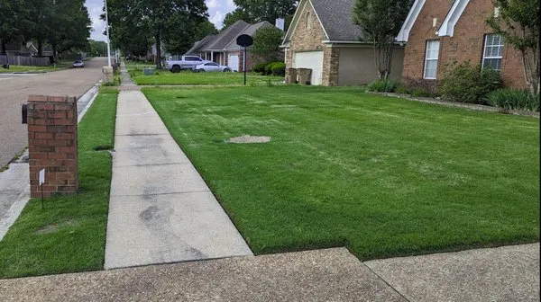 Ty's Lawn Care Logo