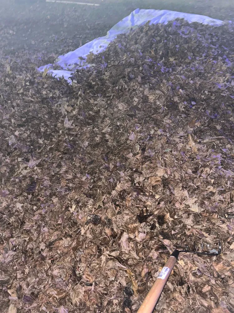 Local landscape installation for outdoor upgrades in Baltimore, MD by Ty's Lawncare Services