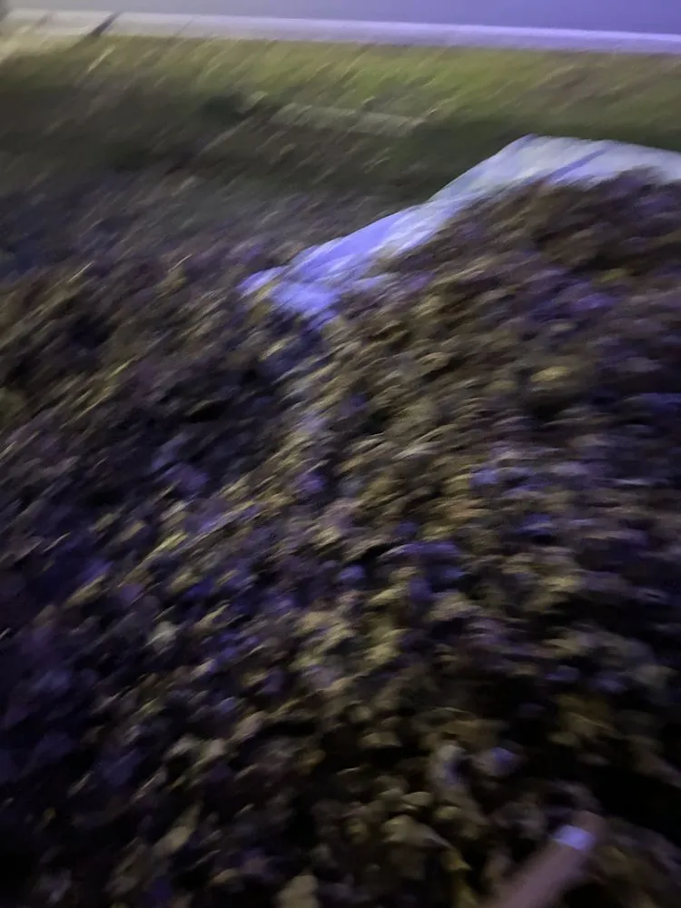 Affordable residential landscaping experts serving Baltimore, MD - Ty's Lawncare Services