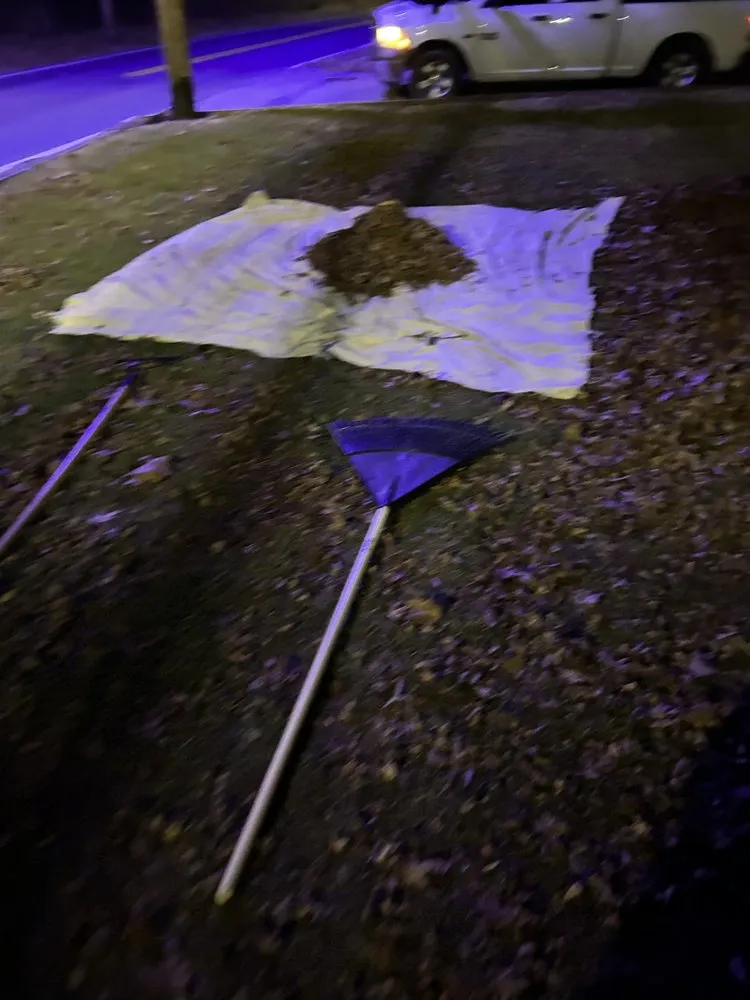 Professional yard maintenance in Baltimore, MD by Ty's Lawncare Services