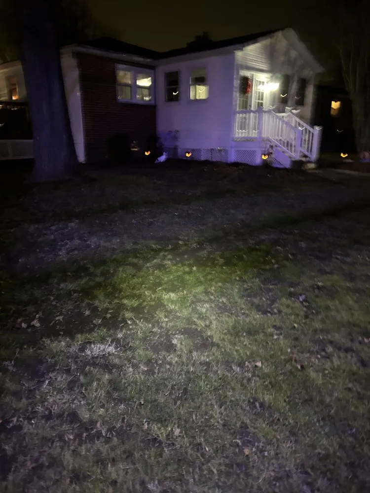 Trusted yard cleanup service in Baltimore, MD by Ty's Lawncare Services