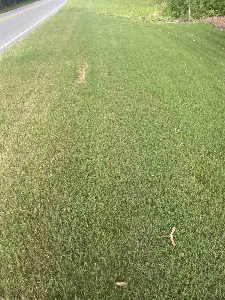 Trusted landscape design for homes in Columbia, SC by Ty’s Pressure Washing