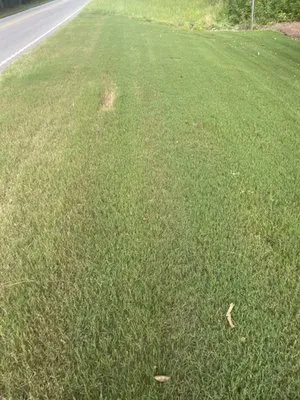 Ty’s Pressure Washing Logo