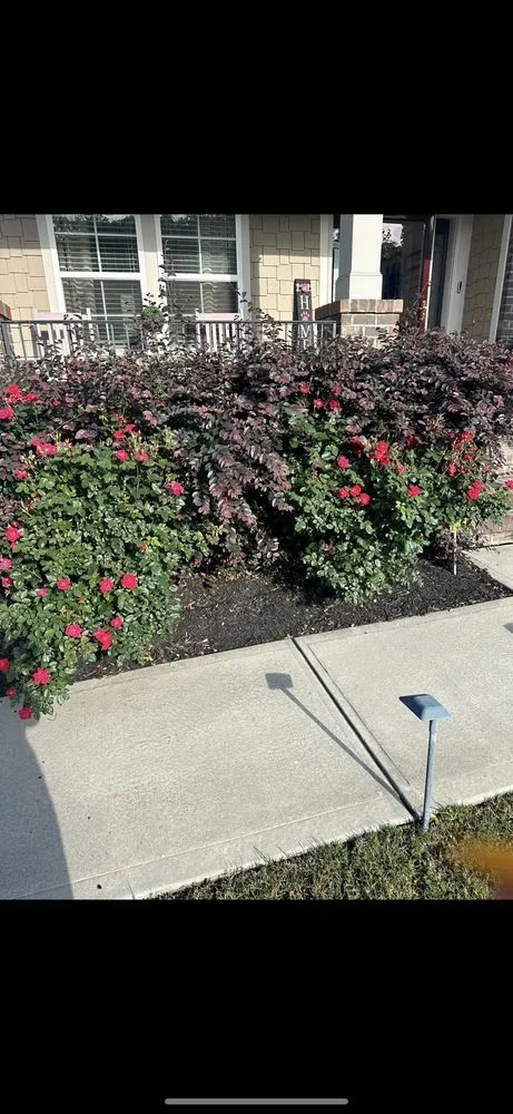 Reliable outdoor landscaping in Wake Forest, NC by Ty's Scapes