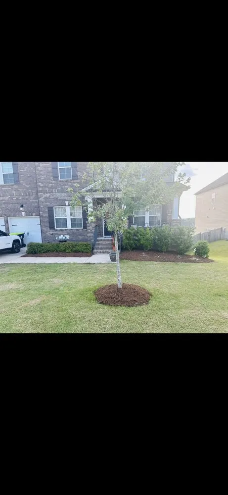 Trusted landscape installation for beautiful yards across Wake Forest, NC - Ty's Scapes