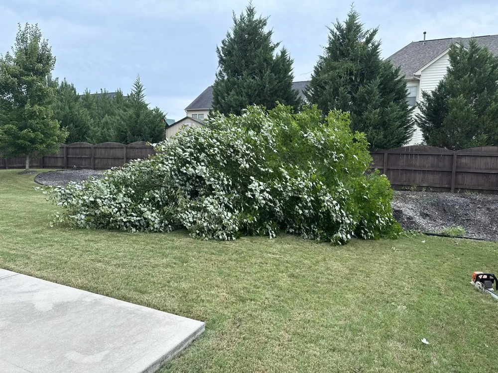 Trusted landscape design for year-round maintenance in Wake Forest, NC by Ty's Scapes