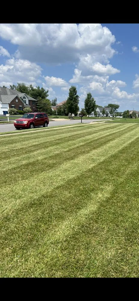 Custom yard cleanup service for homes across Warminster, PA - Ty’s Total Lawn Care