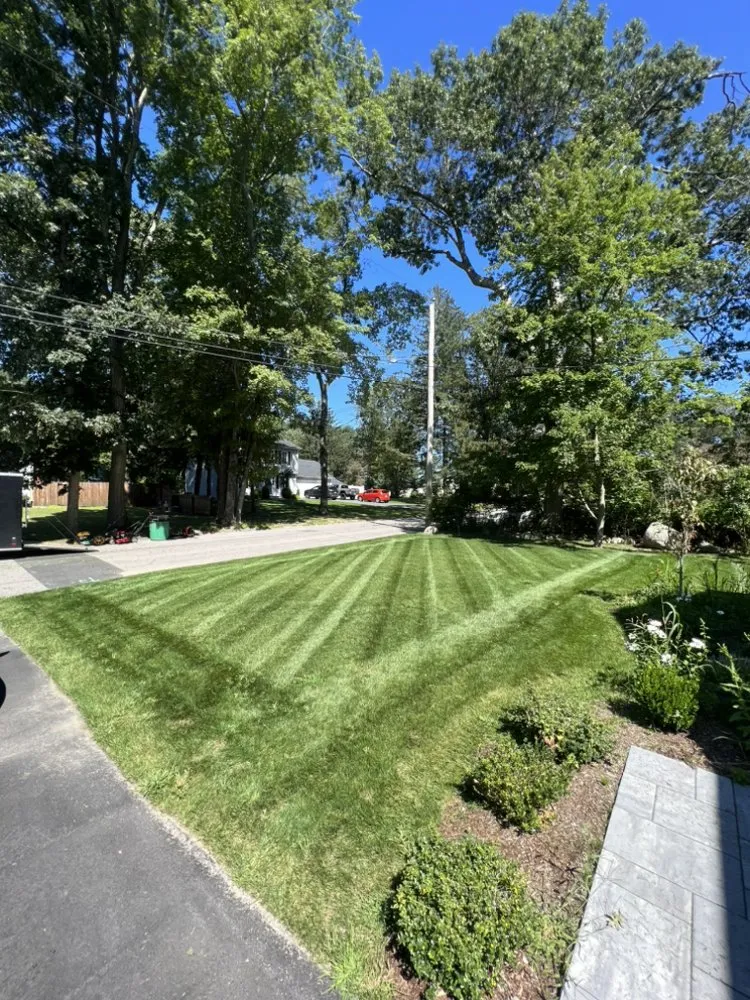 Reliable yard cleanup service experts serving Warwick, RI - Tyscape Property Services