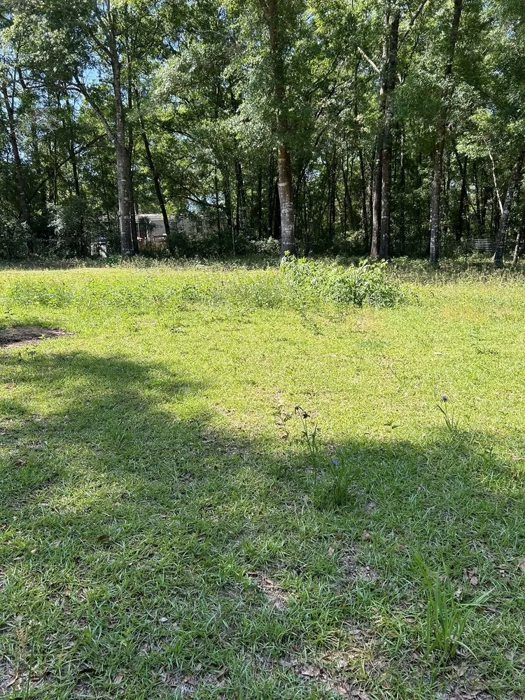 Local lawn care service in Oxnard, CA - Tyson Lawn Care