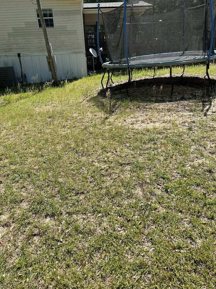 Local landscape installation for year-round maintenance in Oxnard, CA by Tyson Lawn Care