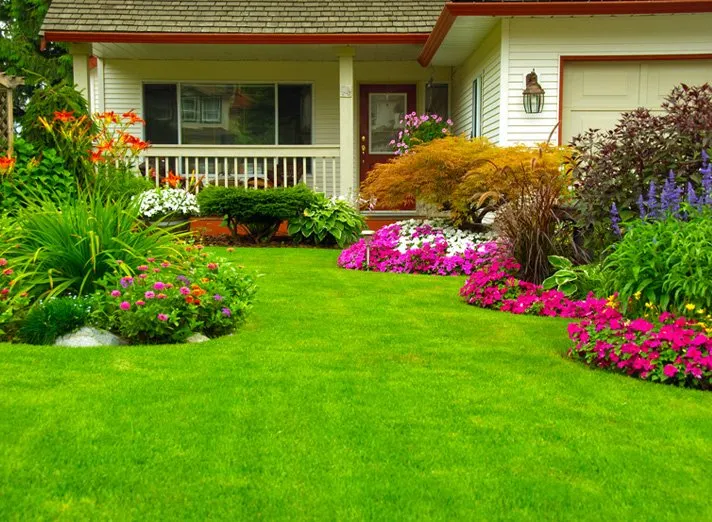 Local yard cleanup service experts serving Oxnard, CA - Tyson Lawn Care