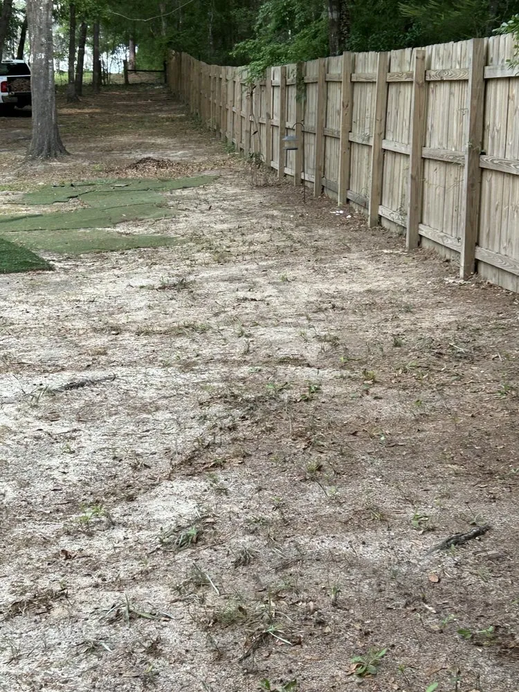 Top-rated residential landscaping in Oxnard, CA by Tyson Lawn Care