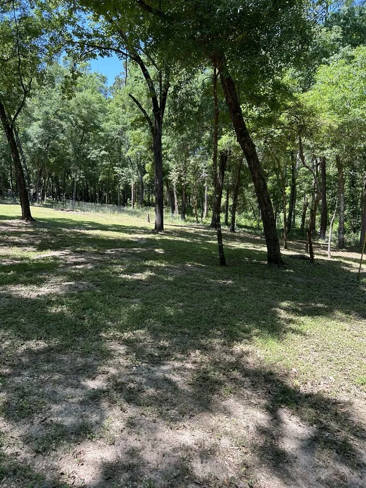 Affordable landscaping services for residential properties in Oxnard, CA by Tyson Lawn Care