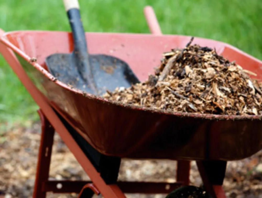 Custom landscape design for homes in Greensboro, NC by Tyson's Landscaping