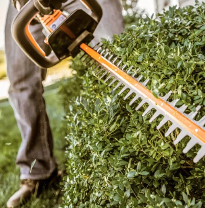 Local lawn care service experts serving Greensboro, NC - Tyson's Landscaping