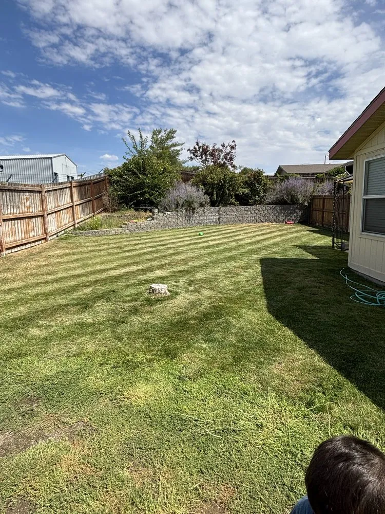 Custom yard cleanup service experts serving Yakima, WA - Tyson’s Lawn Care