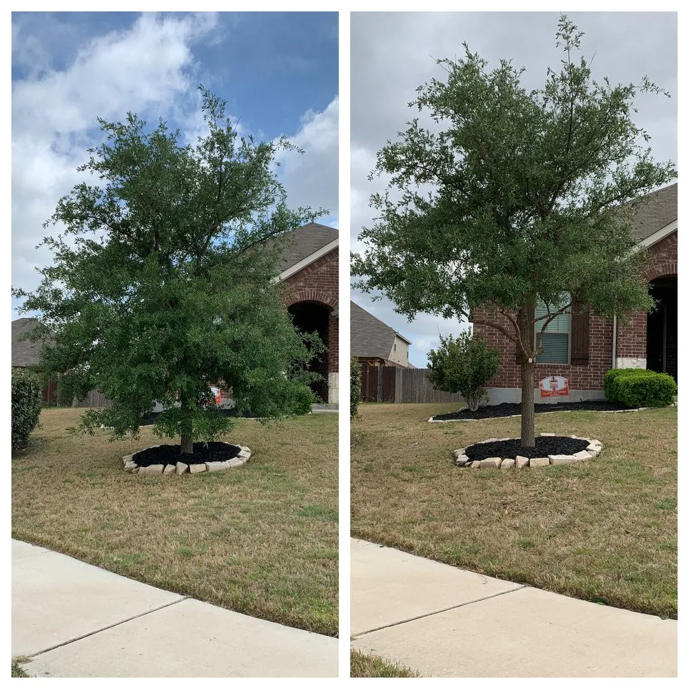 Reliable landscape design experts serving Hutto, TX - Tyson's Mow and More