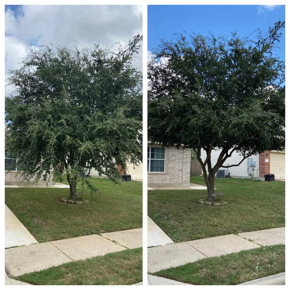 Local garden landscaping with custom design across Hutto, TX - Tyson's Mow and More