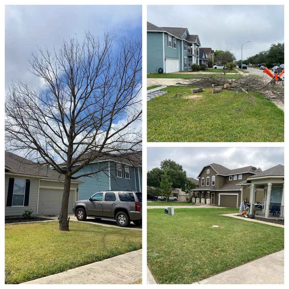 Affordable residential landscaping in Hutto, TX - Tyson's Mow and More