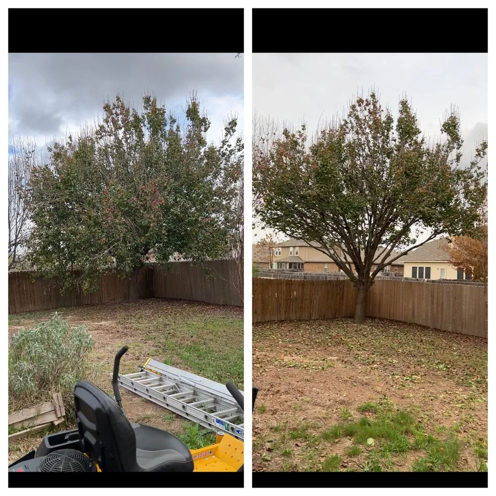 Custom lawn mowing service near you in Hutto, TX by Tyson's Mow and More