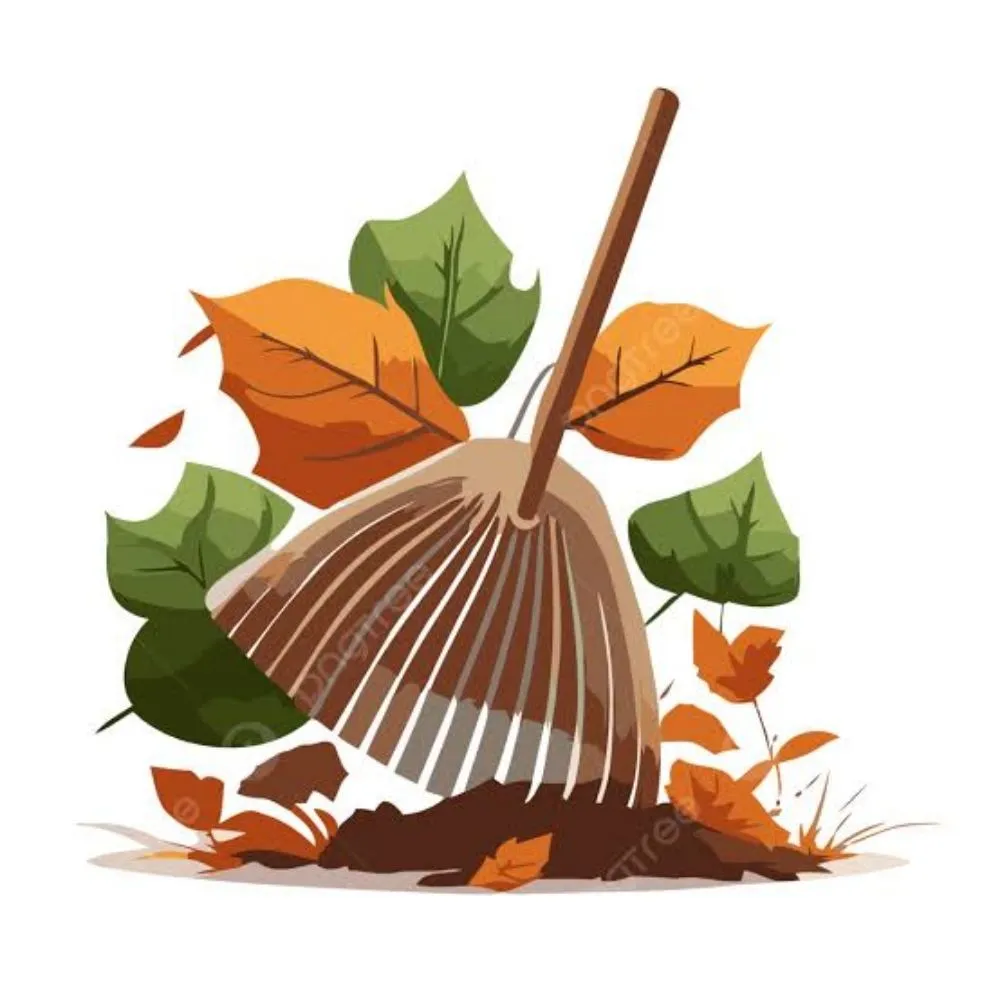 Affordable landscape installation for beautiful yards in Zebulon, NC by Tysons's Cuts & Services