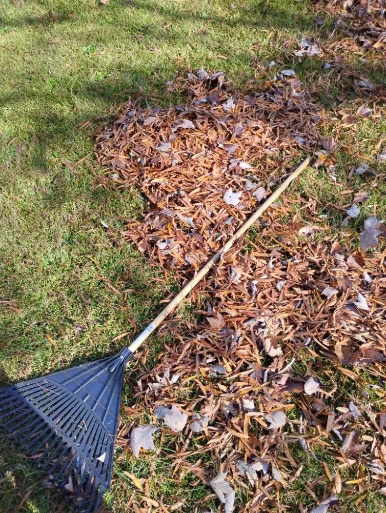 Local landscaping services near you across Zebulon, NC - Tysons's Cuts & Services