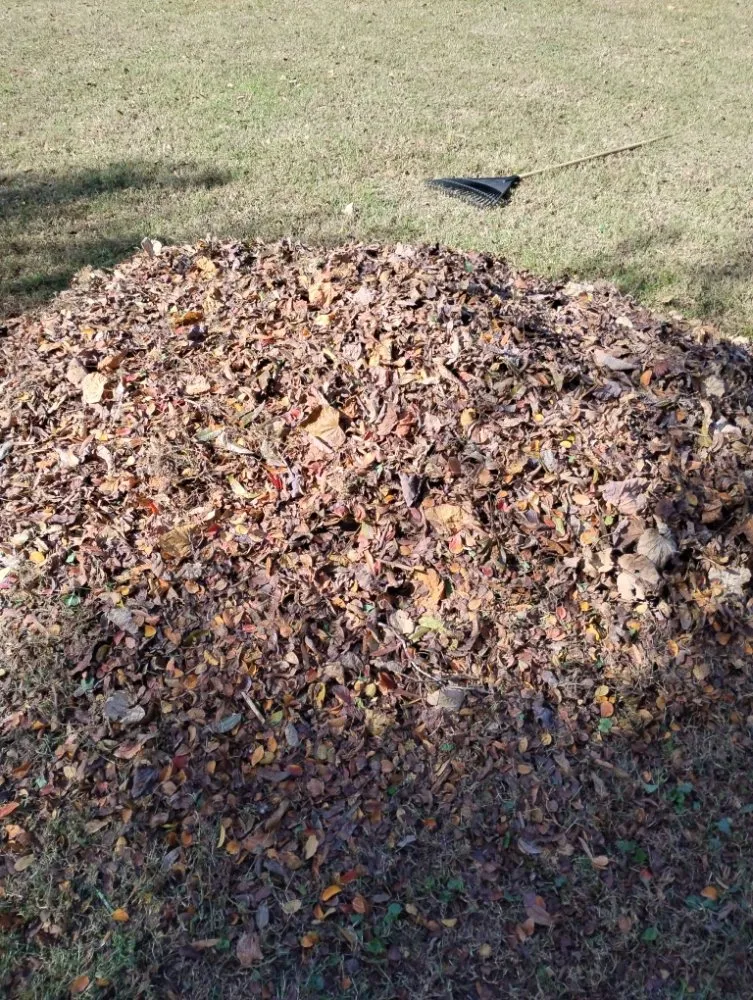 Expert landscape design for residential properties across Zebulon, NC - Tysons's Cuts & Services