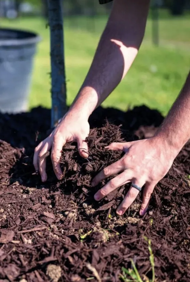 Expert garden landscaping in Batavia, OH by T&Z Lawn Care Company