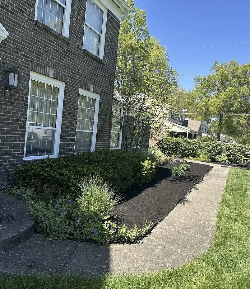 Professional yard cleanup service near you in Batavia, OH by T&Z Lawn Care Company