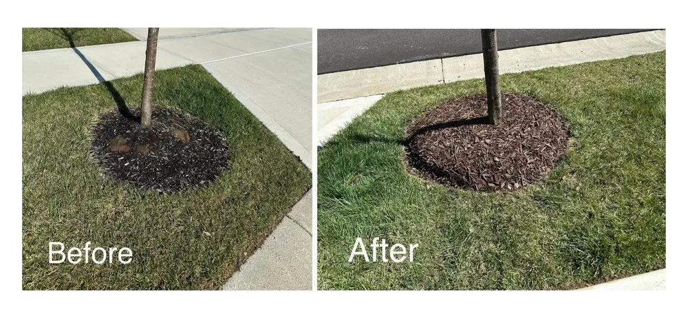 Professional landscape installation in Batavia, OH - T&Z Lawn Care Company