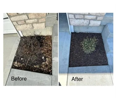 T&Z Lawn Care Company Logo