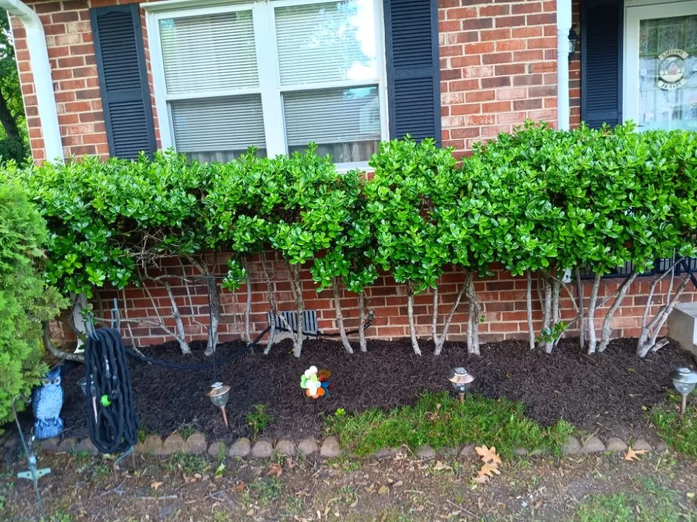 Professional garden landscaping with custom design across Petersburg, VA - T&Z Lawncare Services