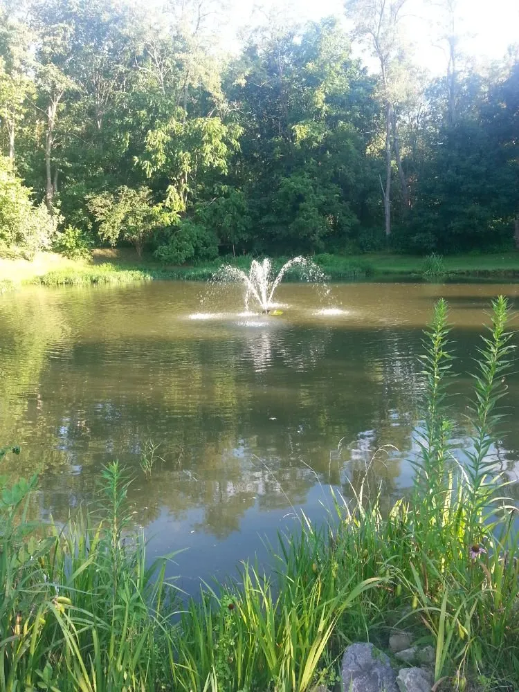 Local lawn mowing service experts serving Winchester, OH - T&Z Mowing Service