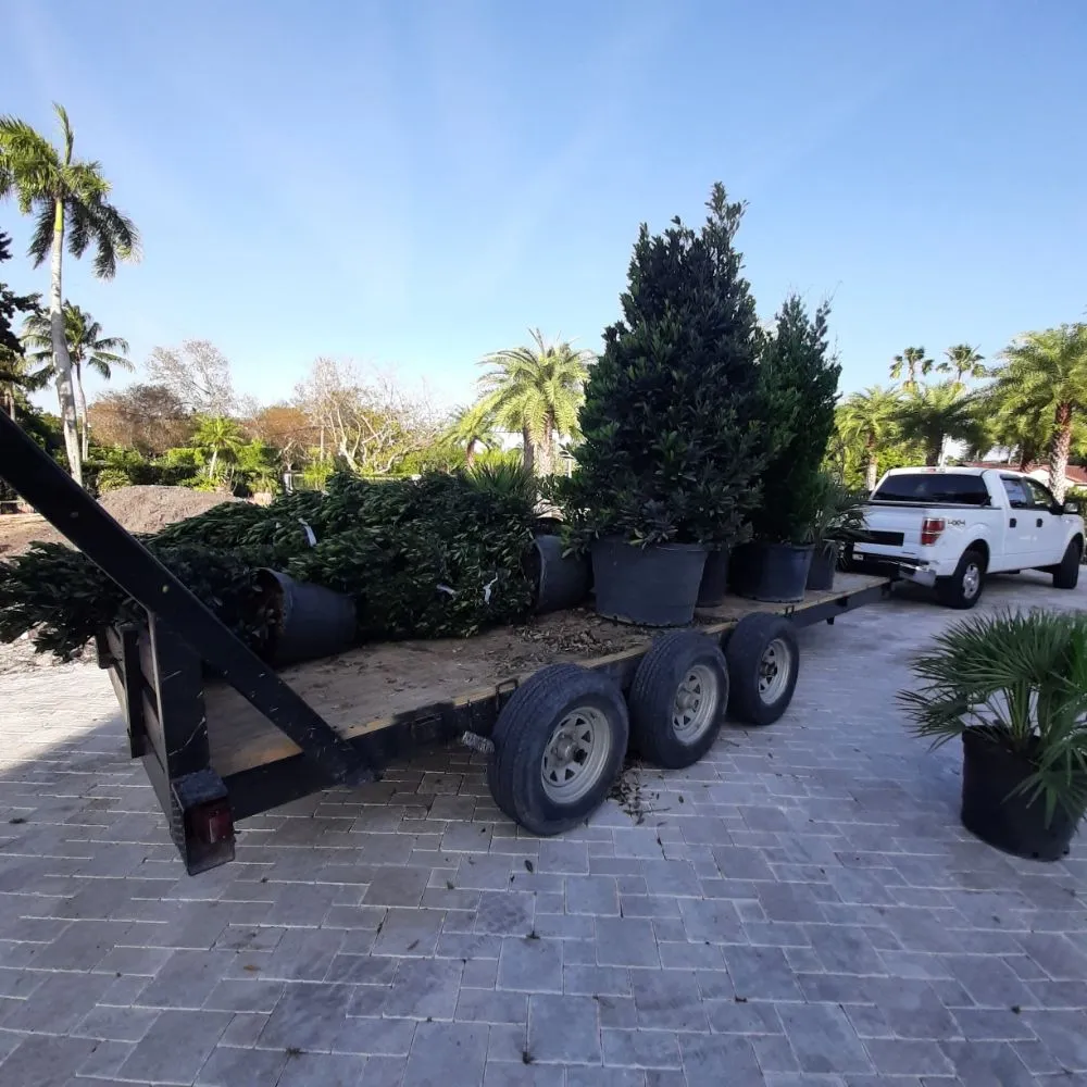 Professional outdoor landscaping for beautiful yards in Homestead, FL by Tz Multiservices