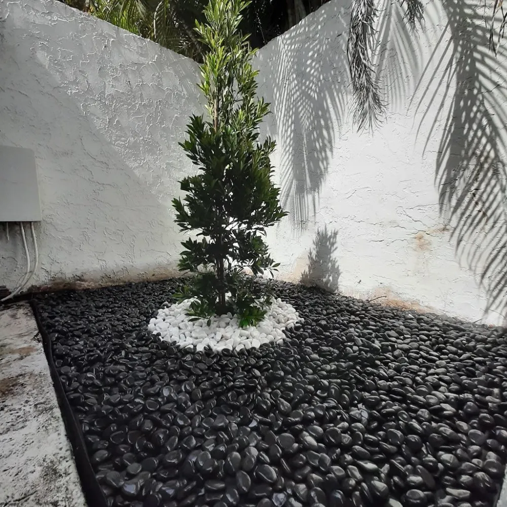 Professional yard cleanup service for residential properties in Homestead, FL by Tz Multiservices