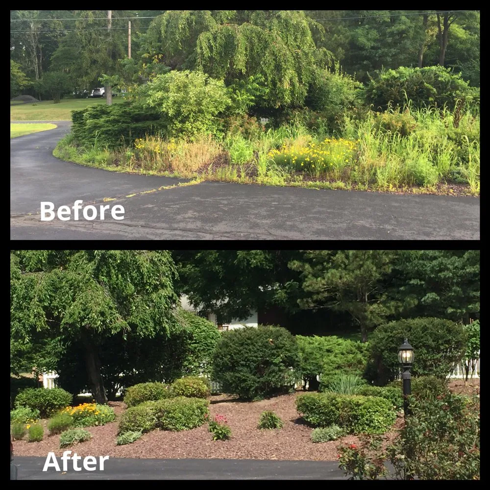 Top-rated yard maintenance for outdoor upgrades across Bellefonte, PA - TZD Painting & Property Service