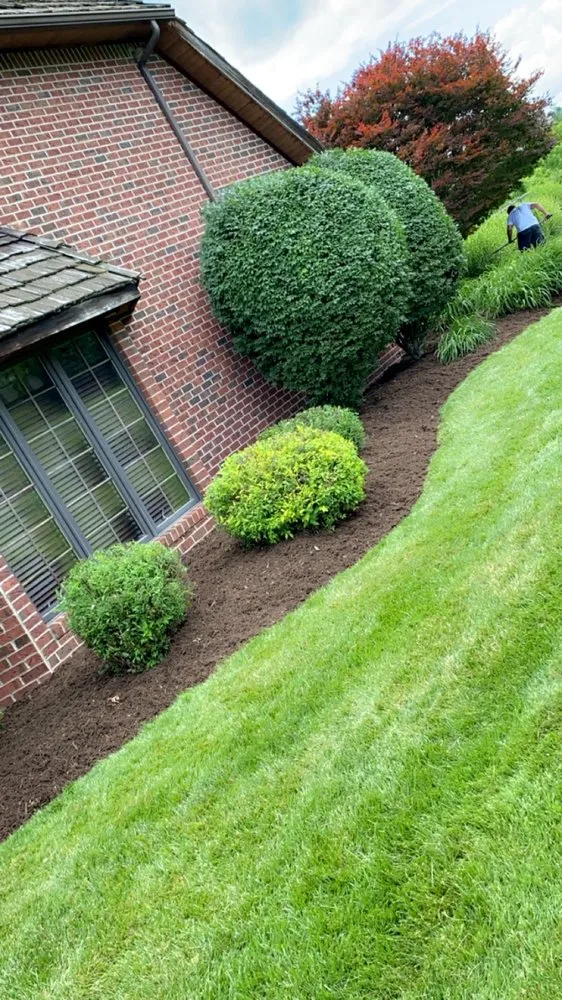 Affordable lawn care service experts serving Washington, PA - Tz’s Landscaping