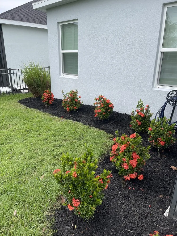 Affordable outdoor landscaping for residential properties in Orlando, FL by U-BIQ