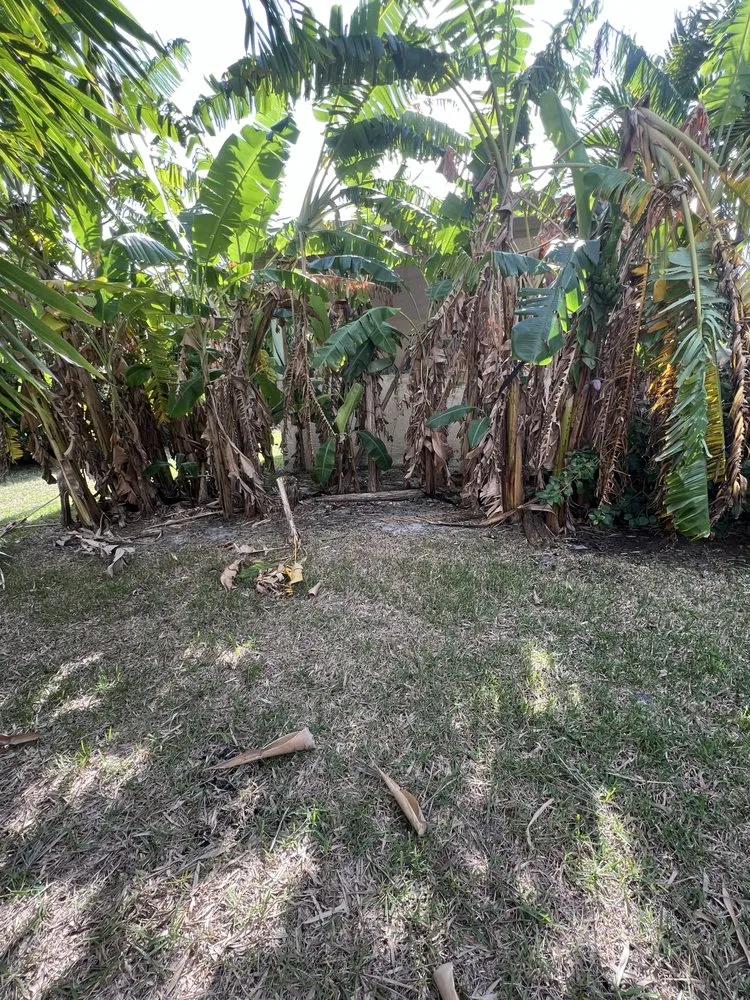 Professional landscape design experts serving Port St. Lucie, FL - U Grow It We Mow It