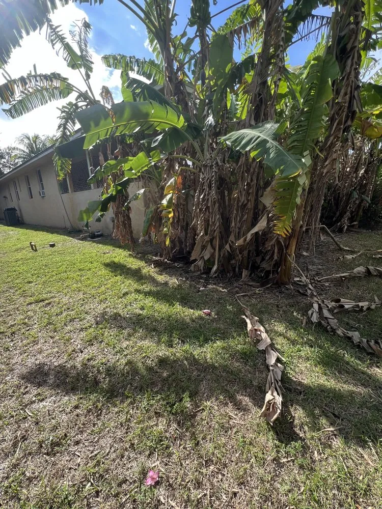 Custom outdoor landscaping experts serving Port St. Lucie, FL - U Grow It We Mow It