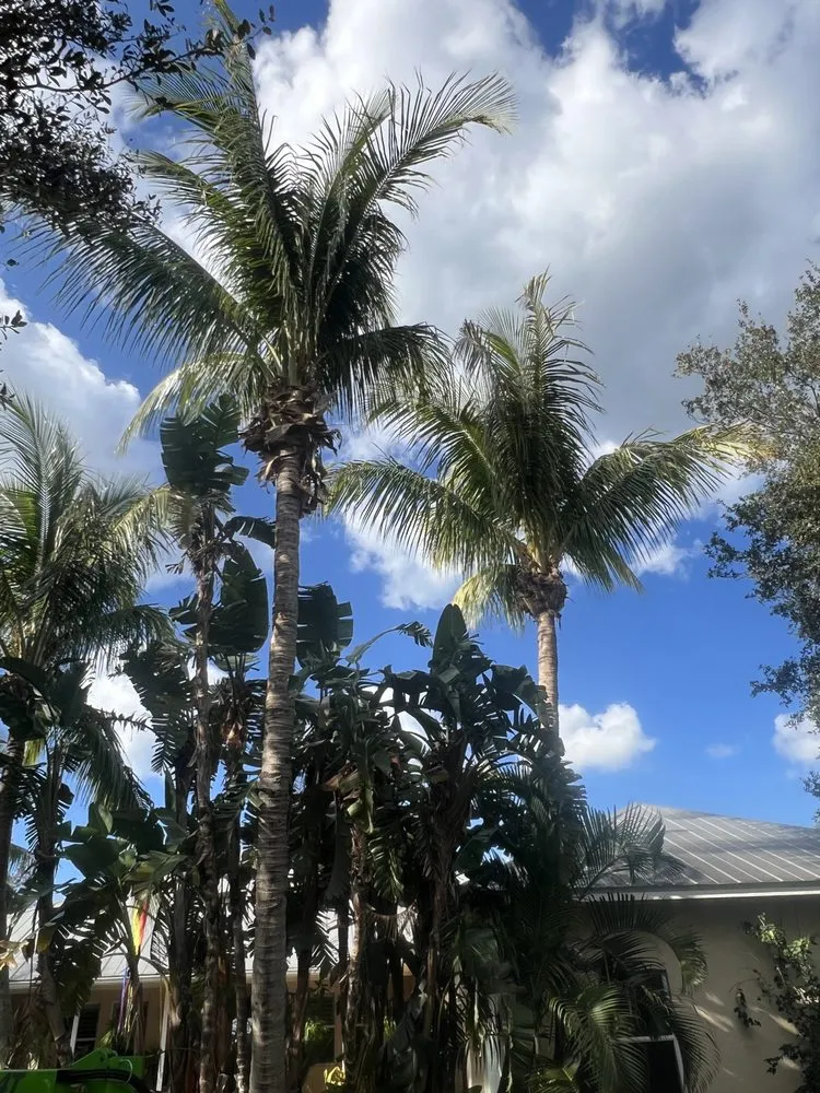 Custom yard cleanup service for beautiful yards in Port St. Lucie, FL by U Grow It We Mow It