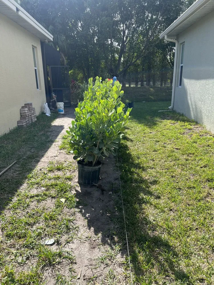 Trusted landscape design experts serving Port St. Lucie, FL - U Grow It We Mow It