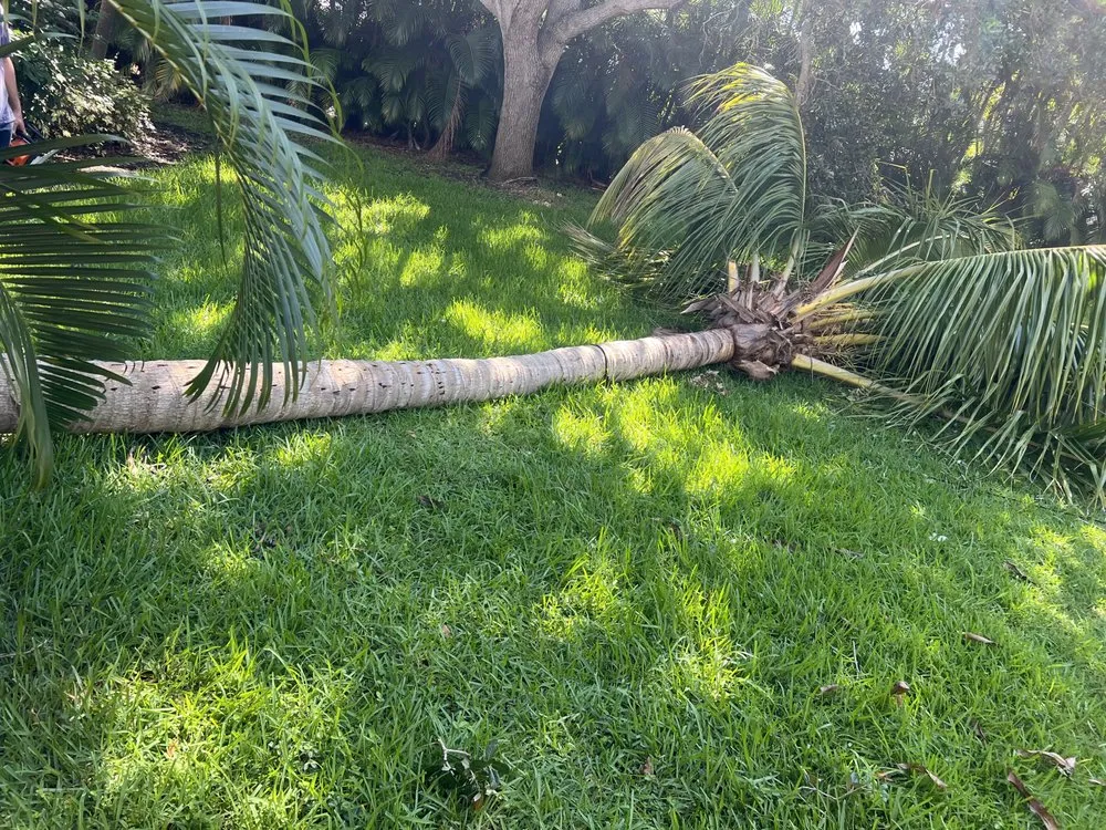 Affordable residential landscaping experts serving Port St. Lucie, FL - U Grow It We Mow It