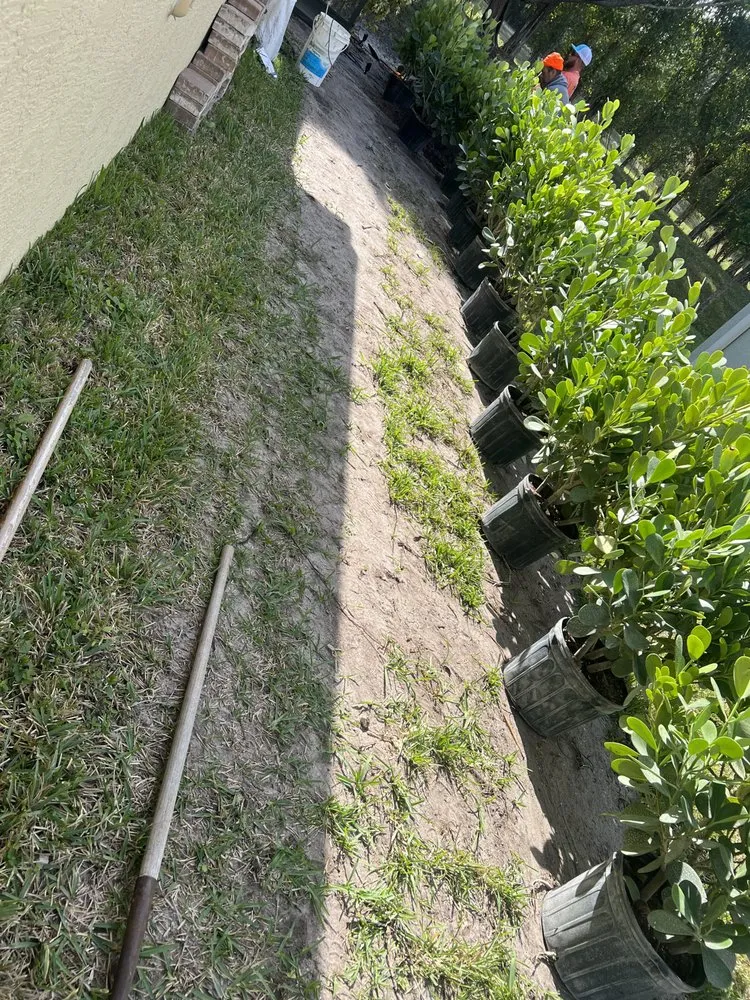 Custom landscape installation experts serving Port St. Lucie, FL - U Grow It We Mow It