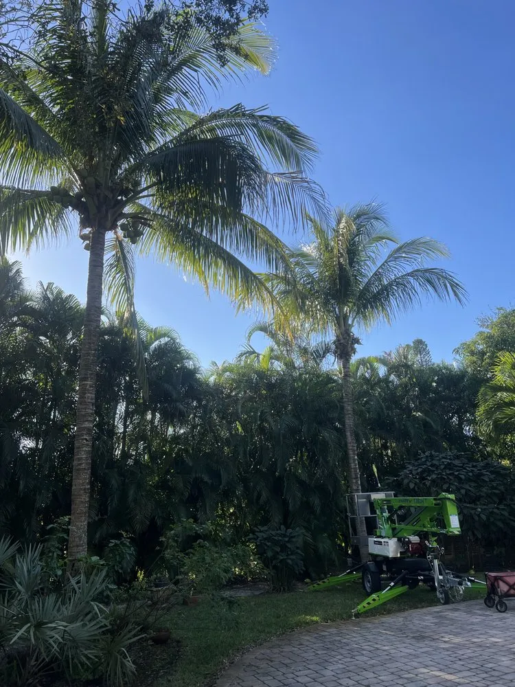 Local landscaping services for residential properties in Port St. Lucie, FL by U Grow It We Mow It