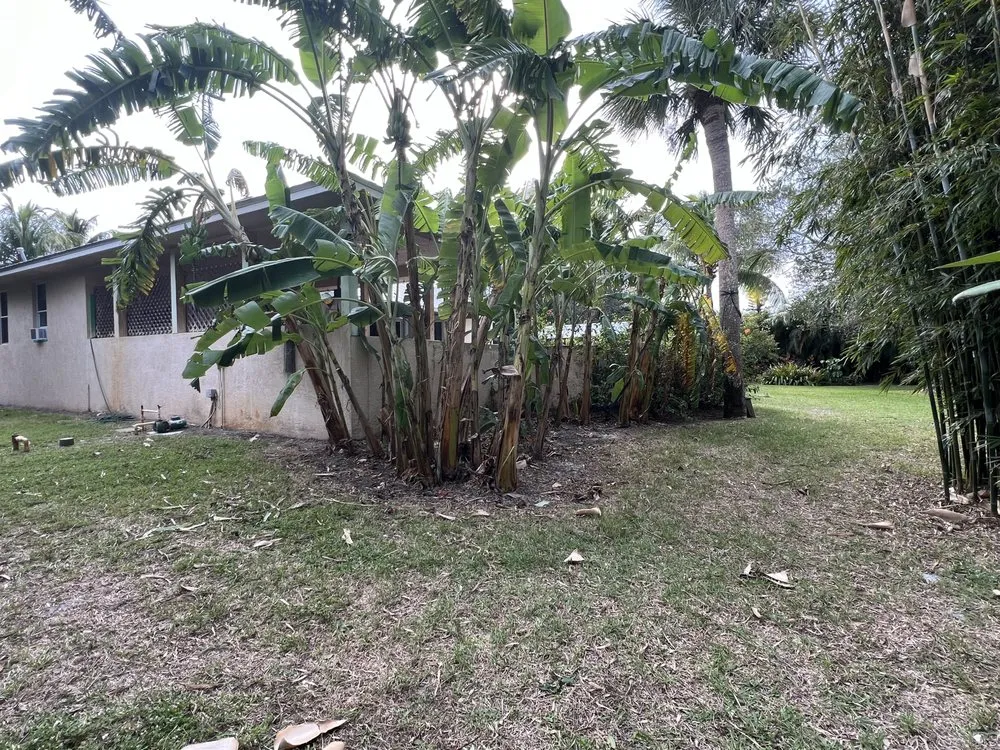 Local landscaping services for residential properties in Port St. Lucie, FL by U Grow It We Mow It