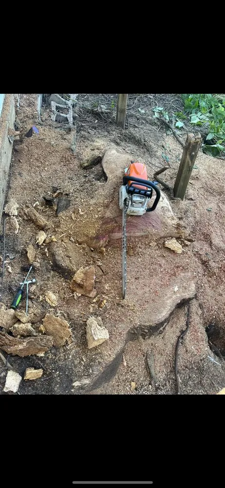 Expert yard maintenance for homes across Port St. Lucie, FL - U Grow It We Mow It