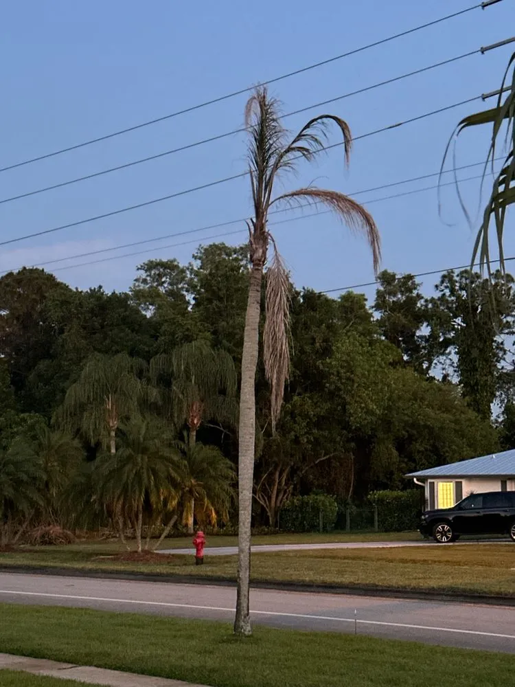 Reliable residential landscaping for beautiful yards across Port St. Lucie, FL - U Grow It We Mow It
